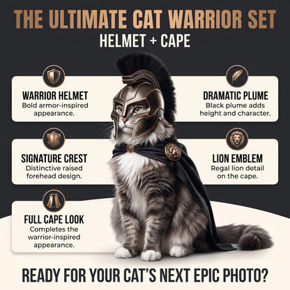 Armageddon Cat Helmet
